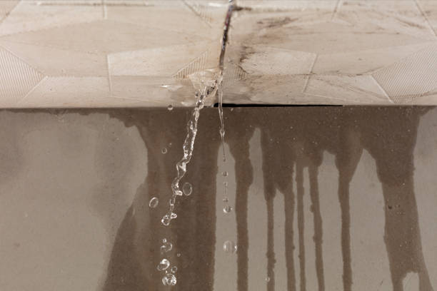 Professional Water Damage Repair technician working in Cherry Point, NC
